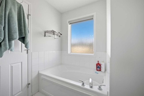 89 Saddlehorn Close Ne, Calgary, AB 