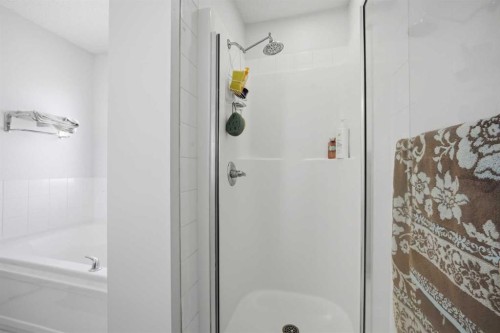 89 Saddlehorn Close Ne, Calgary, AB 