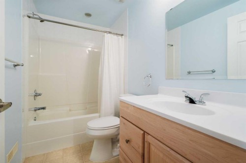 136 Douglas Glen Heath Se, Calgary, AB - Indoor Photo Showing Bathroom