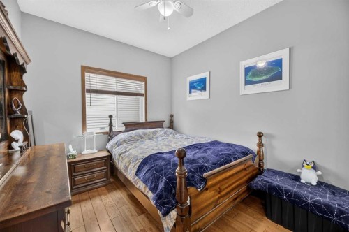 10 Vantage Crescent, Olds, AB 