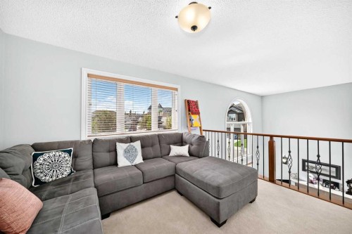 209 Crystal Green Point, Okotoks, AB 