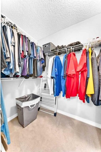 209 Crystal Green Point, Okotoks, AB 