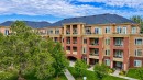 7101-14 Hemlock Crescent Sw, Calgary, AB 