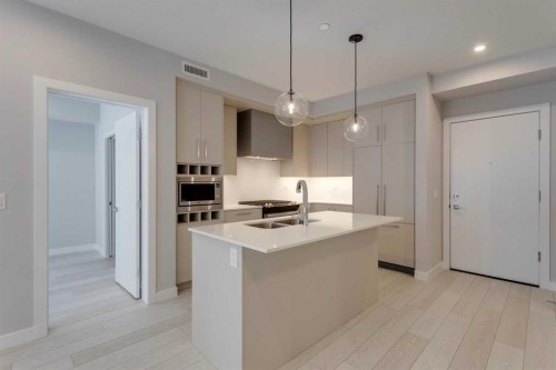 206-8370 Broadcast Avenue Sw, Calgary, AB - Indoor Photo Showing Kitchen With Double Sink With Upgraded Kitchen