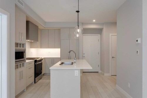 206-8370 Broadcast Avenue Sw, Calgary, AB - Indoor Photo Showing Kitchen With Double Sink With Upgraded Kitchen