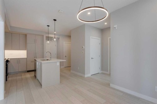 206-8370 Broadcast Avenue Sw, Calgary, AB - Indoor Photo Showing Kitchen