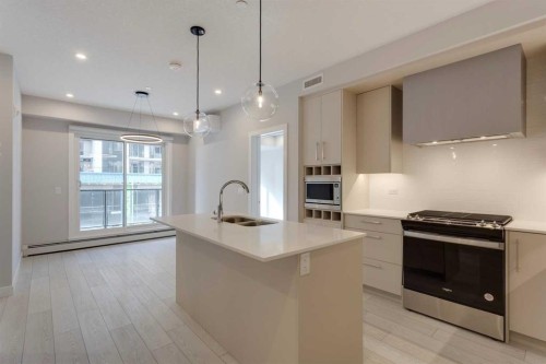 206-8370 Broadcast Avenue Sw, Calgary, AB - Indoor Photo Showing Kitchen With Double Sink With Upgraded Kitchen