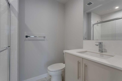 206-8370 Broadcast Avenue Sw, Calgary, AB - Indoor Photo Showing Bathroom