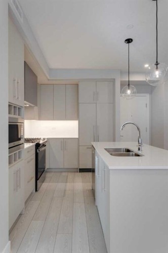 206-8370 Broadcast Avenue Sw, Calgary, AB - Indoor Photo Showing Kitchen With Double Sink With Upgraded Kitchen