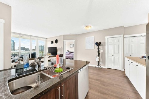 1406-325 3 Street Se, Calgary, AB - Indoor Photo Showing Kitchen With Double Sink