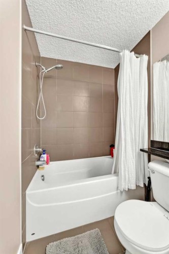 1406-325 3 Street Se, Calgary, AB - Indoor Photo Showing Bathroom