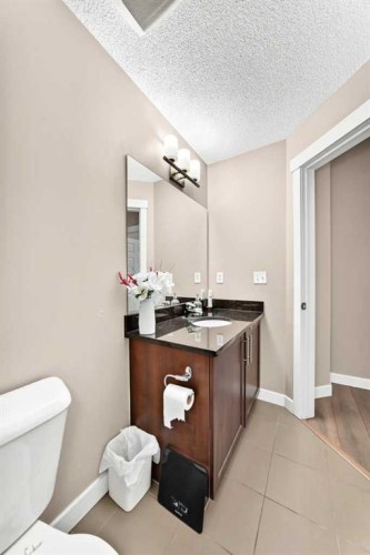 1406-325 3 Street Se, Calgary, AB - Indoor Photo Showing Bathroom