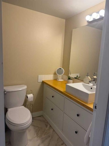 209-315 Heritage Drive Se, Calgary, AB - Indoor Photo Showing Bathroom