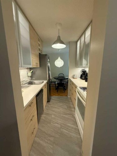 209-315 Heritage Drive Se, Calgary, AB - Indoor Photo Showing Kitchen