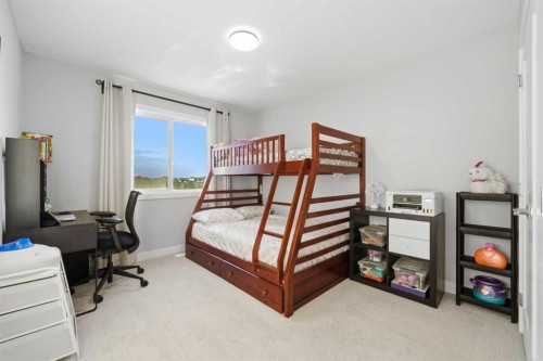 163 Dawson Wharf Rise Mount, Chestermere, AB 