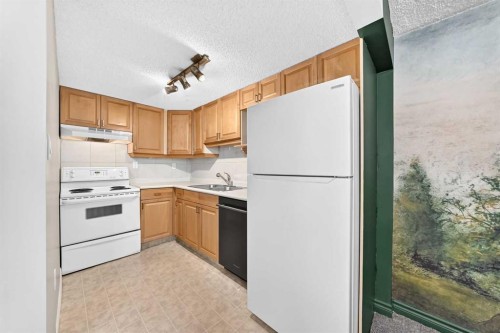 2124B 52 Avenue Sw, Calgary, AB 