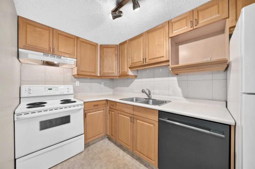 2124B 52 Avenue Sw, Calgary, AB 