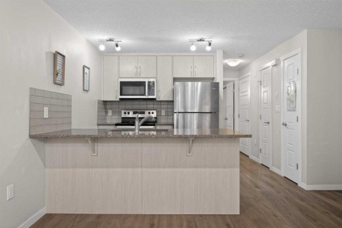 1910-7451 Falconridge Boulevard Ne, Calgary, AB - Indoor Photo Showing Kitchen With Double Sink