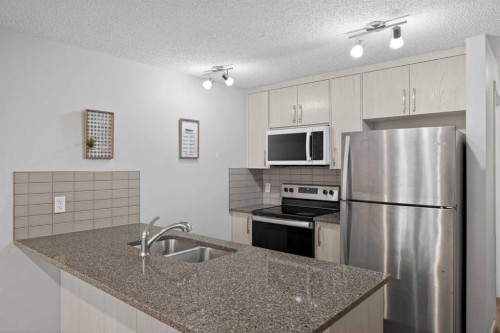 1910-7451 Falconridge Boulevard Ne, Calgary, AB - Indoor Photo Showing Kitchen With Double Sink With Upgraded Kitchen