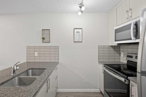 1910-7451 Falconridge Boulevard Ne, Calgary, AB - Indoor Photo Showing Kitchen With Double Sink