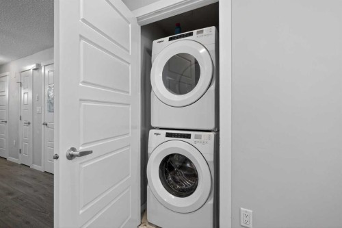 1910-7451 Falconridge Boulevard Ne, Calgary, AB - Indoor Photo Showing Laundry Room