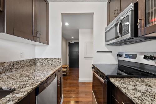 1206-733 14 Avenue Sw, Calgary, AB - Indoor Photo Showing Kitchen With Upgraded Kitchen