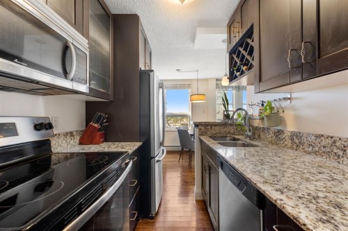 1206-733 14 Avenue Sw, Calgary, AB - Indoor Photo Showing Kitchen With Double Sink With Upgraded Kitchen