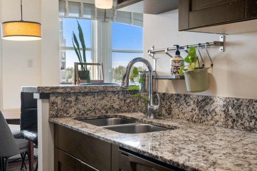 1206-733 14 Avenue Sw, Calgary, AB - Indoor Photo Showing Kitchen With Double Sink