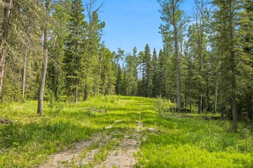 31435 Range Road 62, Rural Mountain View County, AB 