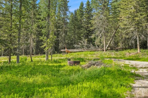 31435 Range Road 62, Rural Mountain View County, AB 