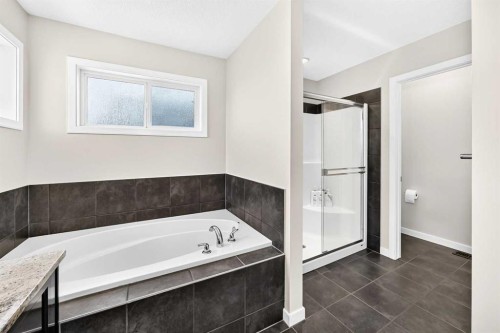 56 Panatella Parade Nw, Calgary, AB - Indoor Photo Showing Bathroom