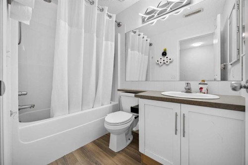 328 Saddlebrook Point Ne, Calgary, AB 