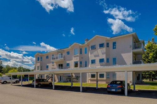 202-7 Lineham Avenue, Okotoks, AB 