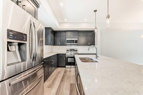 136-42 Cranbrook Gardens Se, Calgary, AB - Indoor Photo Showing Kitchen With Stainless Steel Kitchen With Double Sink With Upgraded Kitchen