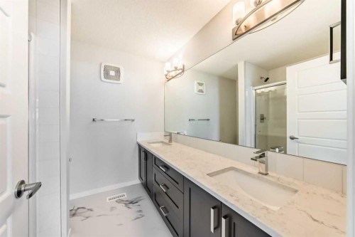 136-42 Cranbrook Gardens Se, Calgary, AB - Indoor Photo Showing Bathroom