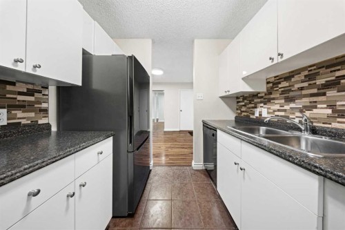 305-718 12 Avenue Sw, Calgary, AB - Indoor Photo Showing Kitchen With Double Sink