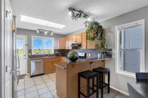 231 Silver Springs Way Nw, Airdrie, AB 