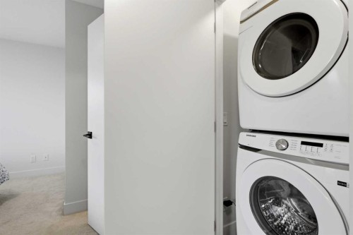 603-10060 46 Street Ne, Calgary, AB - Indoor Photo Showing Laundry Room