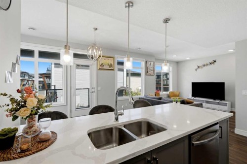 610-10060 46 Street Ne, Calgary, AB - Indoor Photo Showing Kitchen With Double Sink