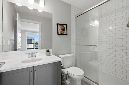 610-10060 46 Street Ne, Calgary, AB - Indoor Photo Showing Bathroom