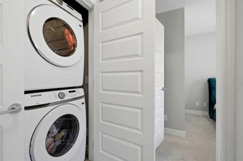 610-10060 46 Street Ne, Calgary, AB - Indoor Photo Showing Laundry Room