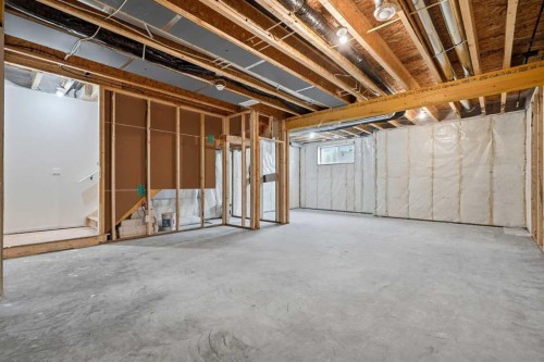 446 Kinniburgh Loop, Chestermere, AB - Indoor Photo Showing Basement