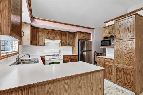 20 Douglasview Park Se, Calgary, AB 