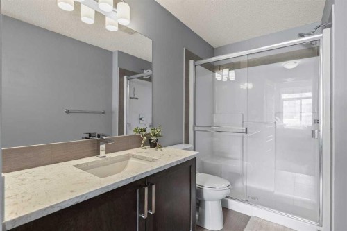 114-6703 New Brighton Avenue Se, Calgary, AB - Indoor Photo Showing Bathroom