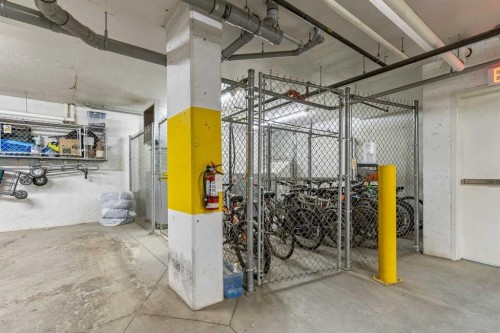 114-6703 New Brighton Avenue Se, Calgary, AB - Indoor Photo Showing Garage