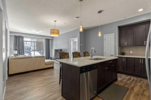 114-6703 New Brighton Avenue Se, Calgary, AB - Indoor Photo Showing Kitchen With Double Sink With Upgraded Kitchen