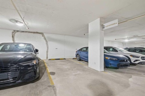 307-8445 Broadcast Avenue Sw, Calgary, AB - Indoor Photo Showing Garage