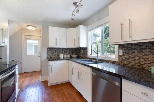 56 Deersaxon Circle Se, Calgary, AB - Indoor Photo Showing Kitchen With Double Sink