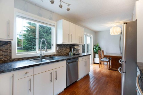 56 Deersaxon Circle Se, Calgary, AB - Indoor Photo Showing Kitchen With Stainless Steel Kitchen With Double Sink