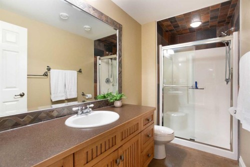 57-39408 Range Road 21, Rural Lacombe County, AB - Indoor Photo Showing Bathroom